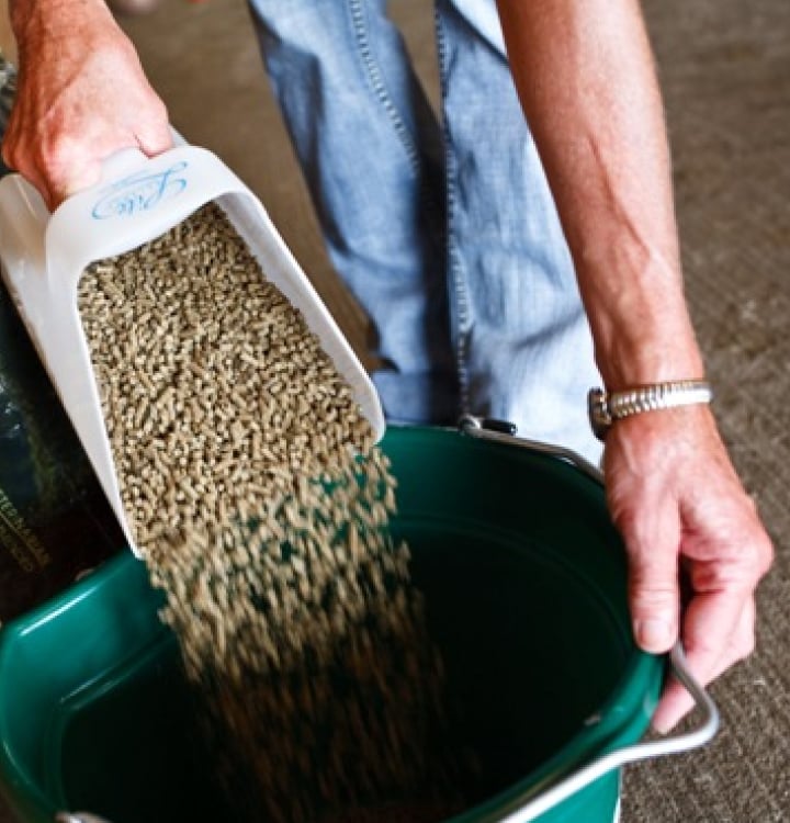 animal feed scooping feed from bucket