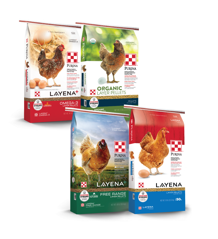 Flock Feed Packaging
