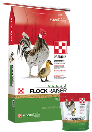 Image of Purina® Flock Raiser® Crumbles poultry feed