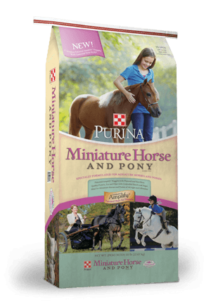 Image of Miniature Horse and Pony feed bags